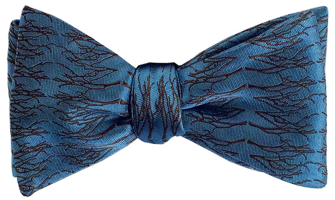 doppeldecker design designer aviation airplane aircraft silk bow tie bowtie winter twig natural flight